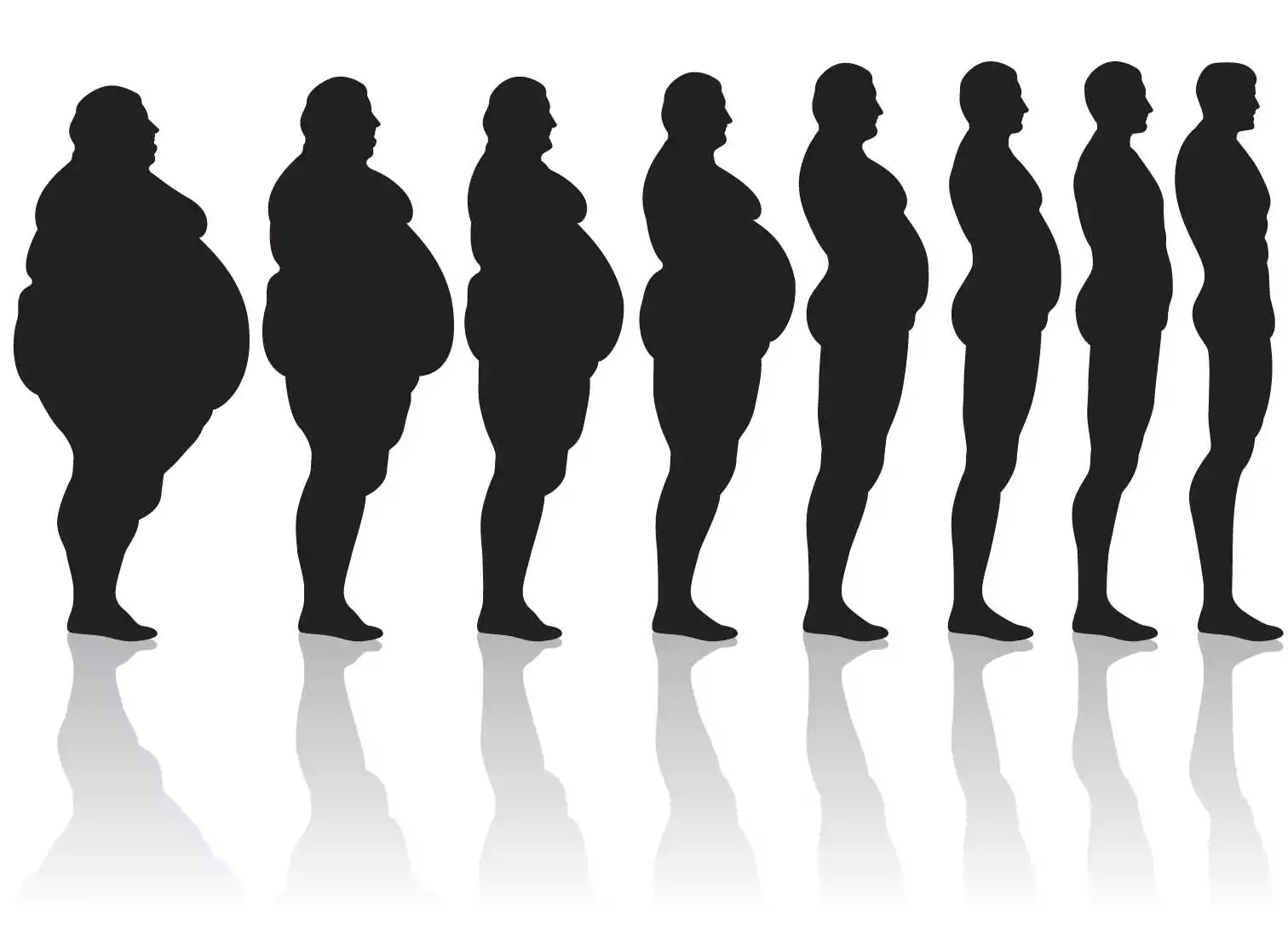 Trasformazione da Grasso a Magro: Effetti dell'Obesità sul Peso Corporeo