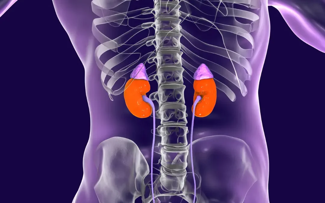 Uroflussometria presso FisioSalus: test diagnostico per valutare il flusso urinario e la funzionalità vescicale