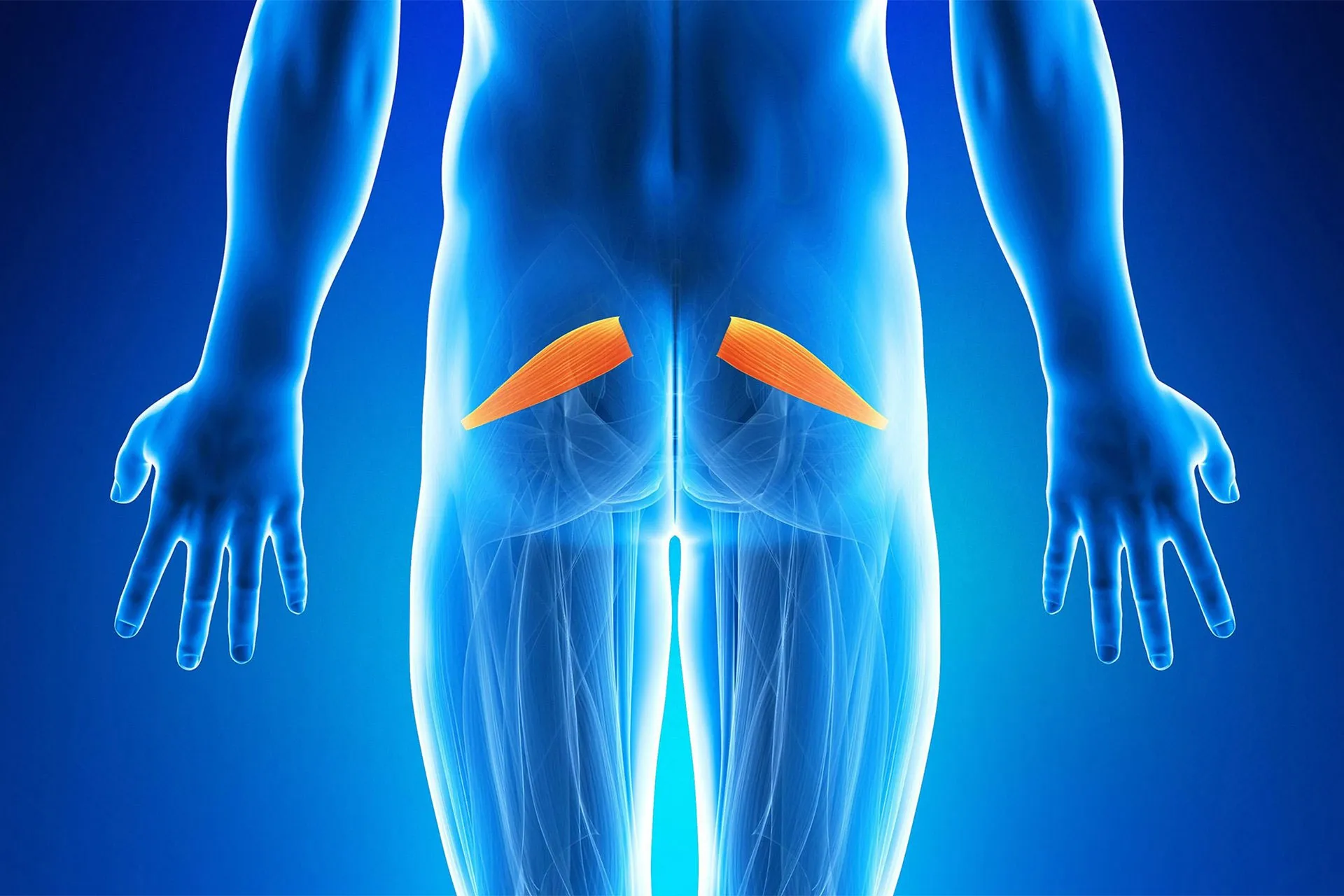 Trattamento fisioterapico per la sindrome del piriforme presso FisioSalus: alleviamento del dolore e miglioramento della mobilità