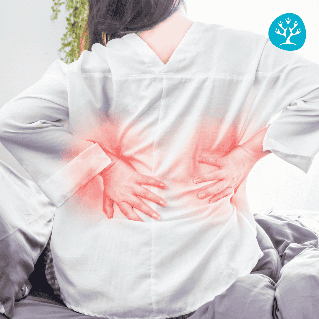 Trattamento fisioterapico per dolore lombare presso FisioSalus: riabilitazione personalizzata per il tuo benessere