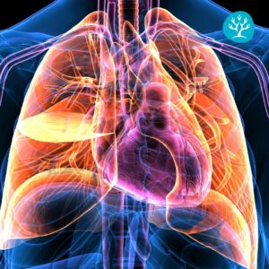 Sessione di riabilitazione respiratoria con fisioterapista specializzato