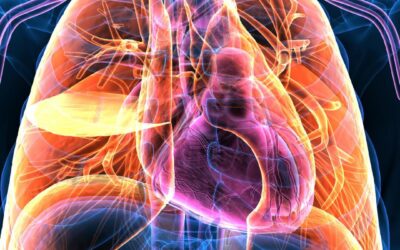 Riabilitazione Respiratoria: Benefici, Tecniche e Percorsi Terapeutici