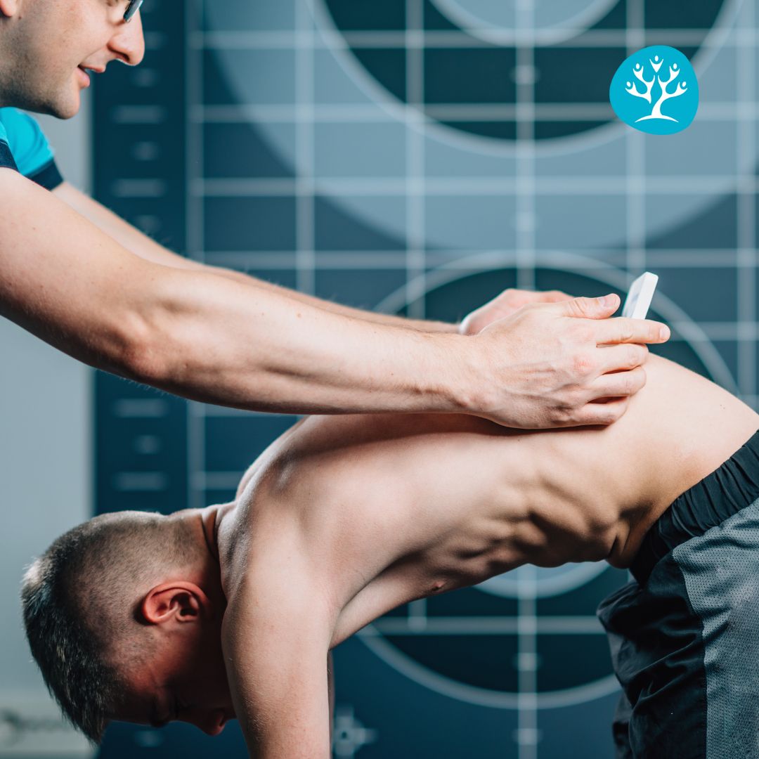 Modello Di Vertebre Lombari Colonna Vertebrale Anatomica Ernia Del Disco Lombare Strumento Di Insegnamento Dellanatomia Vertebra Lombare