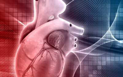 Ecocardiogramma a Perugia