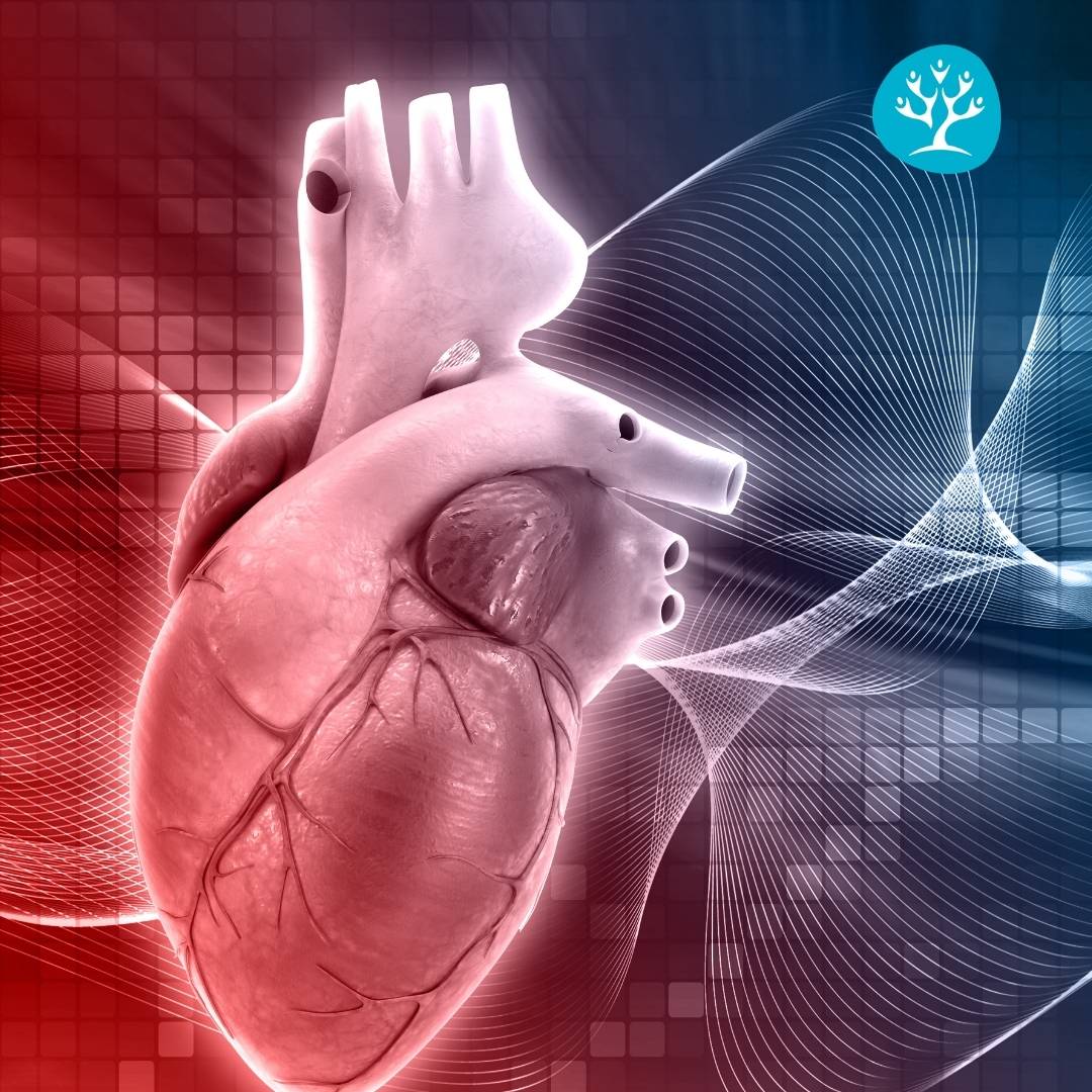 Centro medico specialistico Fisiosalus, specializzato in fisioterapia, riabilitazione e medicina integrata.